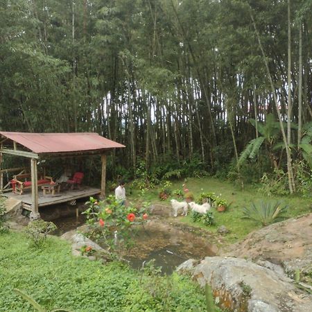 Finca Exclusiva: Eco-Retreat for Families and Friends Alban  Exterior photo