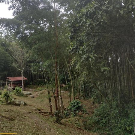 Finca Exclusiva: Eco-Retreat for Families and Friends Alban  Exterior photo