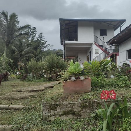 Finca Exclusiva: Eco-Retreat for Families and Friends Alban  Exterior photo