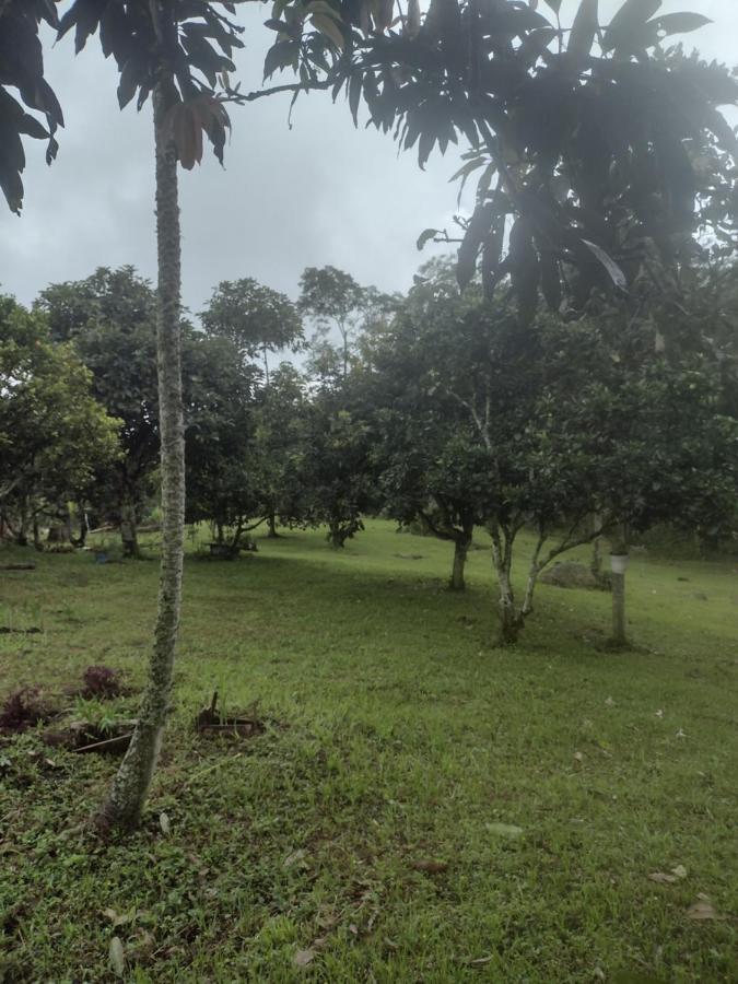 Finca Exclusiva: Eco-Retreat for Families and Friends Alban  Exterior photo