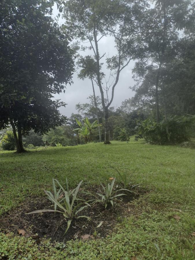 Finca Exclusiva: Eco-Retreat for Families and Friends Alban  Exterior photo