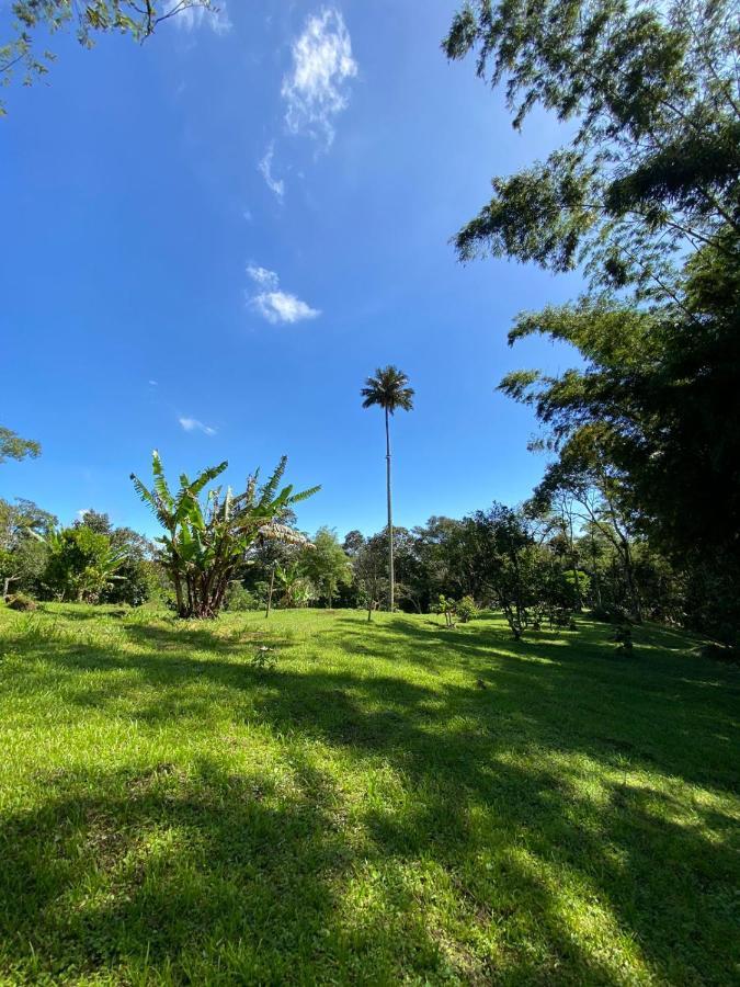 Finca Exclusiva: Eco-Retreat for Families and Friends Alban  Exterior photo