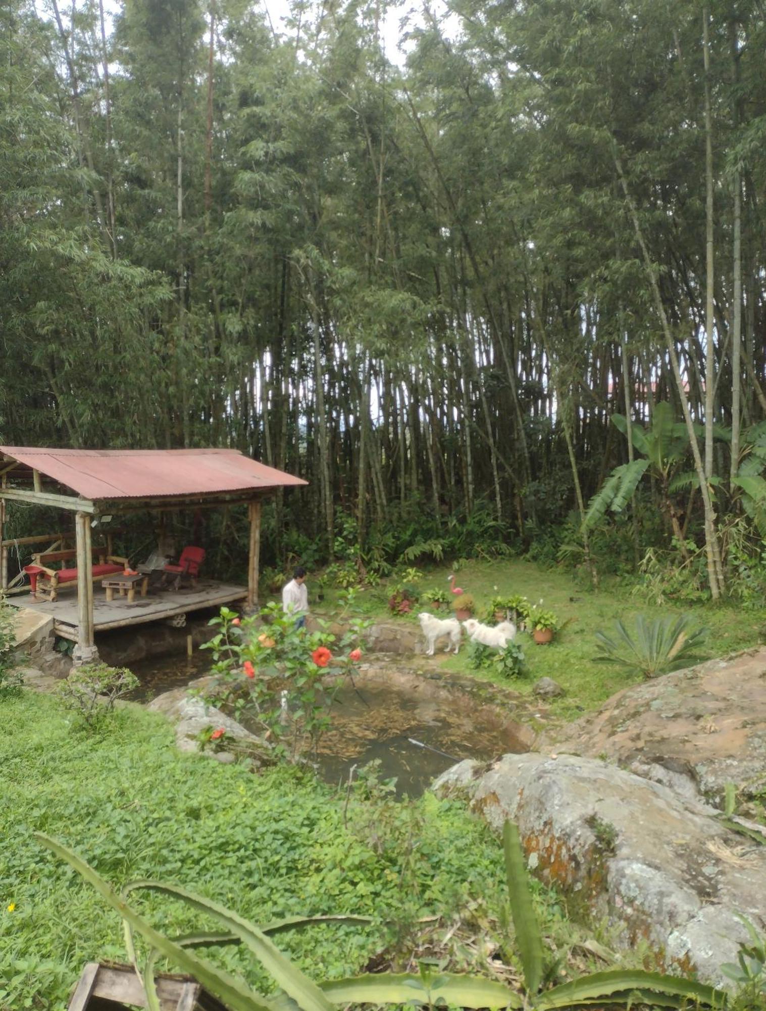 Finca Exclusiva: Eco-Retreat for Families and Friends Alban  Exterior photo