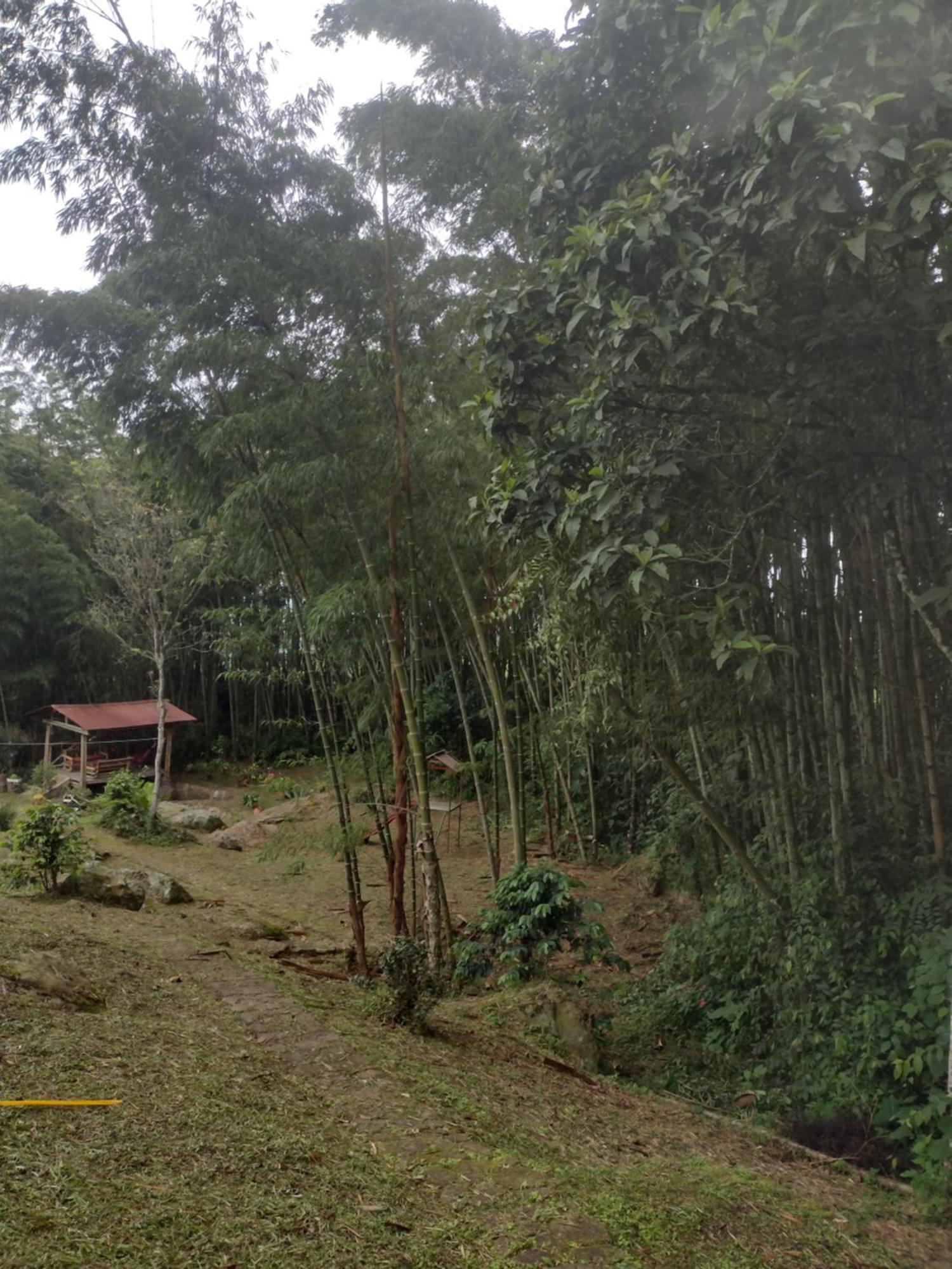 Finca Exclusiva: Eco-Retreat for Families and Friends Alban  Exterior photo