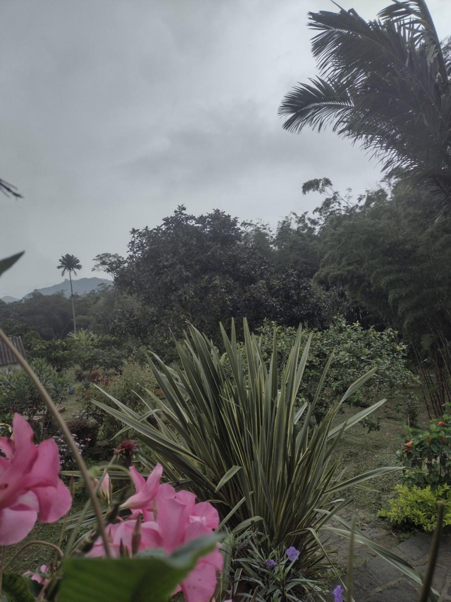Finca Exclusiva: Eco-Retreat for Families and Friends Alban  Exterior photo