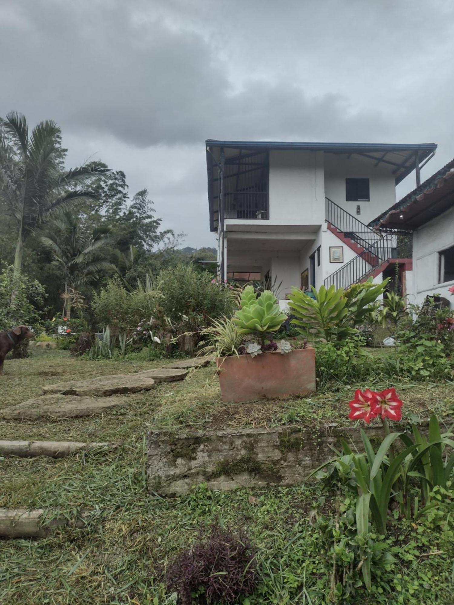 Finca Exclusiva: Eco-Retreat for Families and Friends Alban  Exterior photo